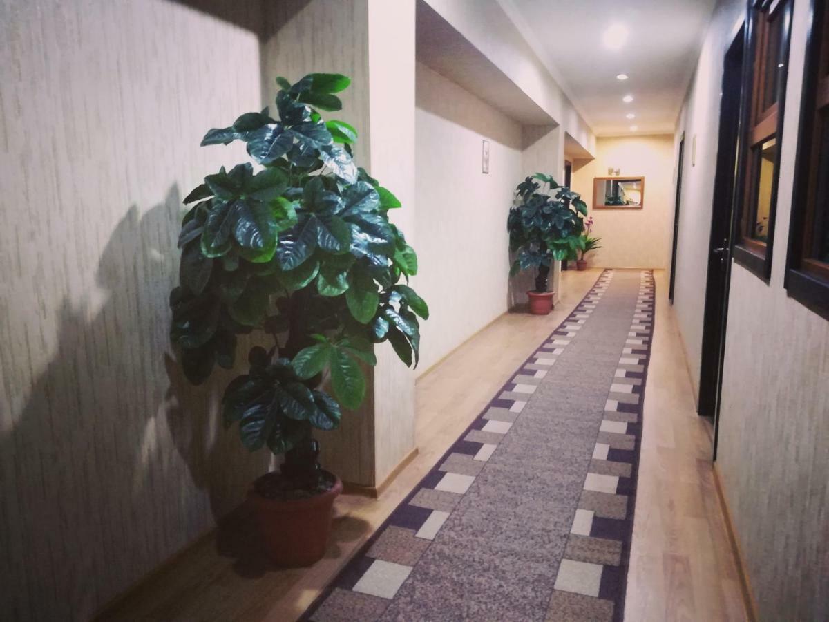 Elegant Hotel 3*